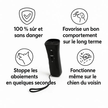 Stoppez Les Tirages de Votre Chien Pour Toujours Même Si Il Est Têtu