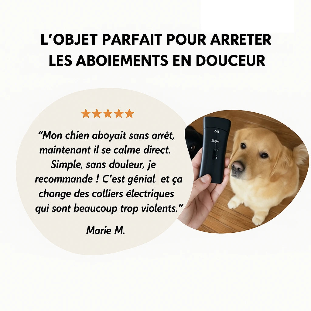 Stoppez Les Tirages de Votre Chien Pour Toujours Même Si Il Est Têtu