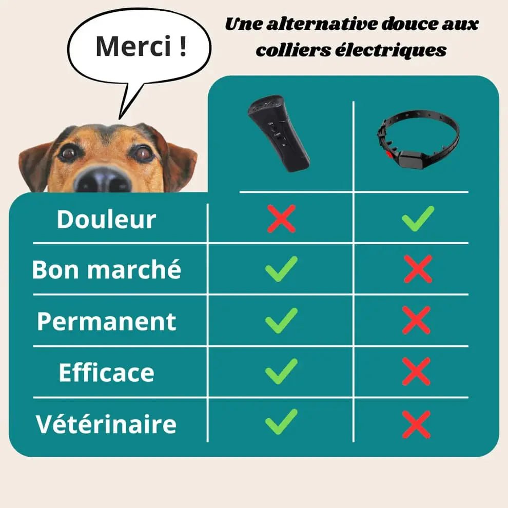 Stoppez Les Tirages de Votre Chien Pour Toujours Même Si Il Est Têtu