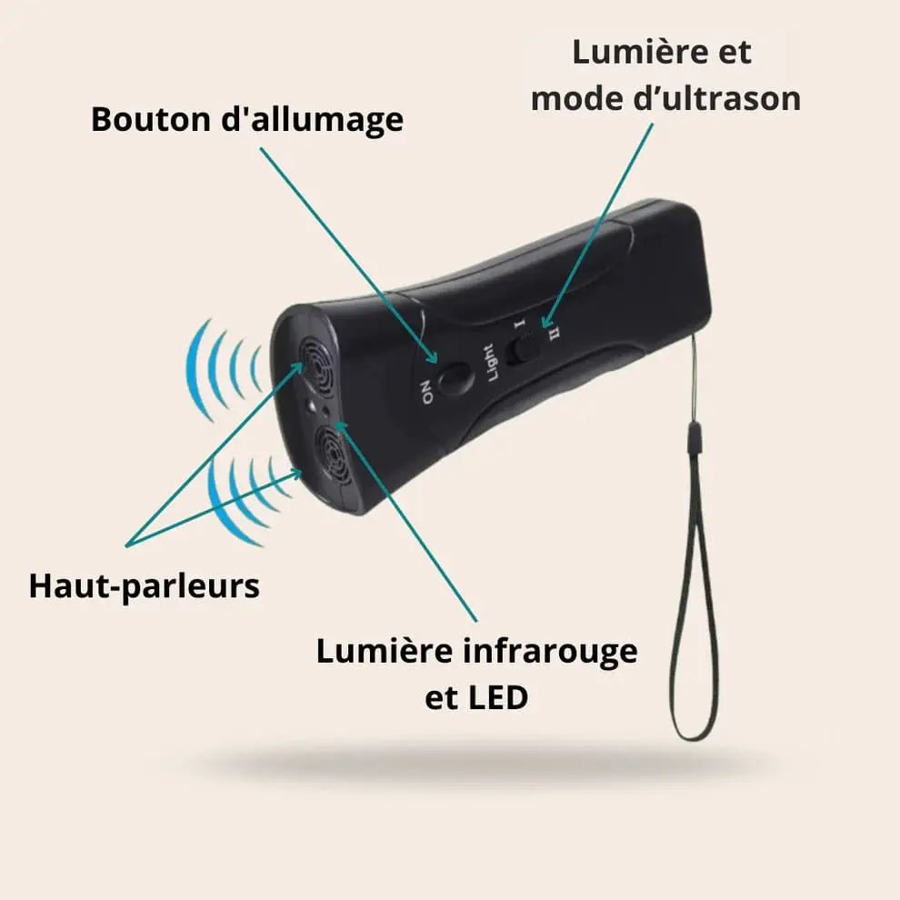 Stoppez Les Tirages de Votre Chien Pour Toujours Même Si Il Est Têtu