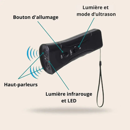 Stoppez Les Tirages de Votre Chien Pour Toujours Même Si Il Est Têtu