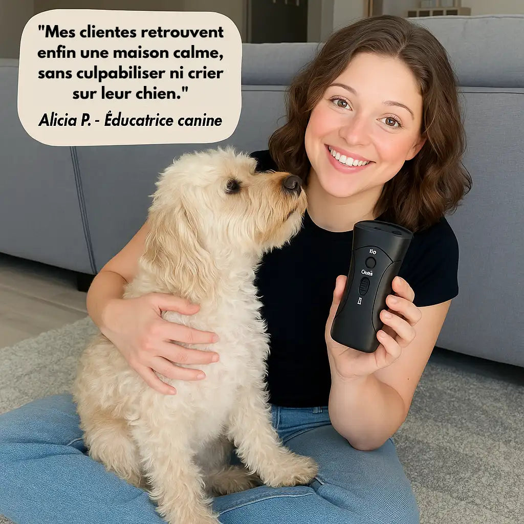 Stoppez Les Tirages de Votre Chien Pour Toujours Même Si Il Est Têtu